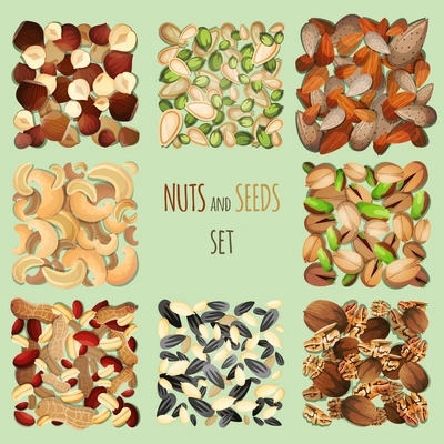 Nuts and seeds mix decorative elements set vector illustration