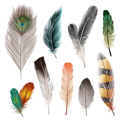 Bird realistic feathers set in different shape and color isolated vector illustration