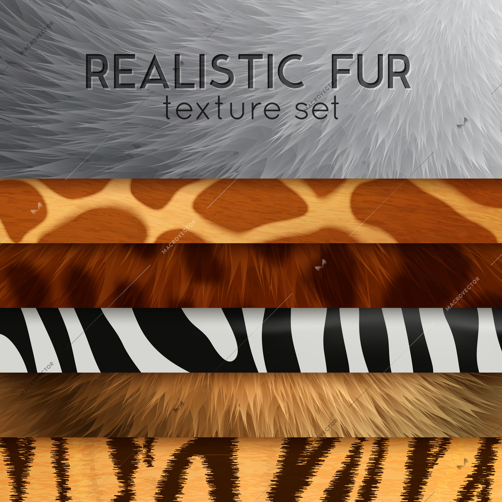 Collection of fur texture six horizontal elements with abstract various colored patterns in realistic style as background for design vector illustration