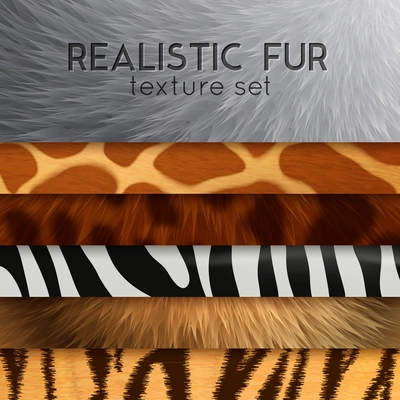 Collection of fur texture six horizontal elements with abstract various colored patterns in realistic style as background for design vector illustration