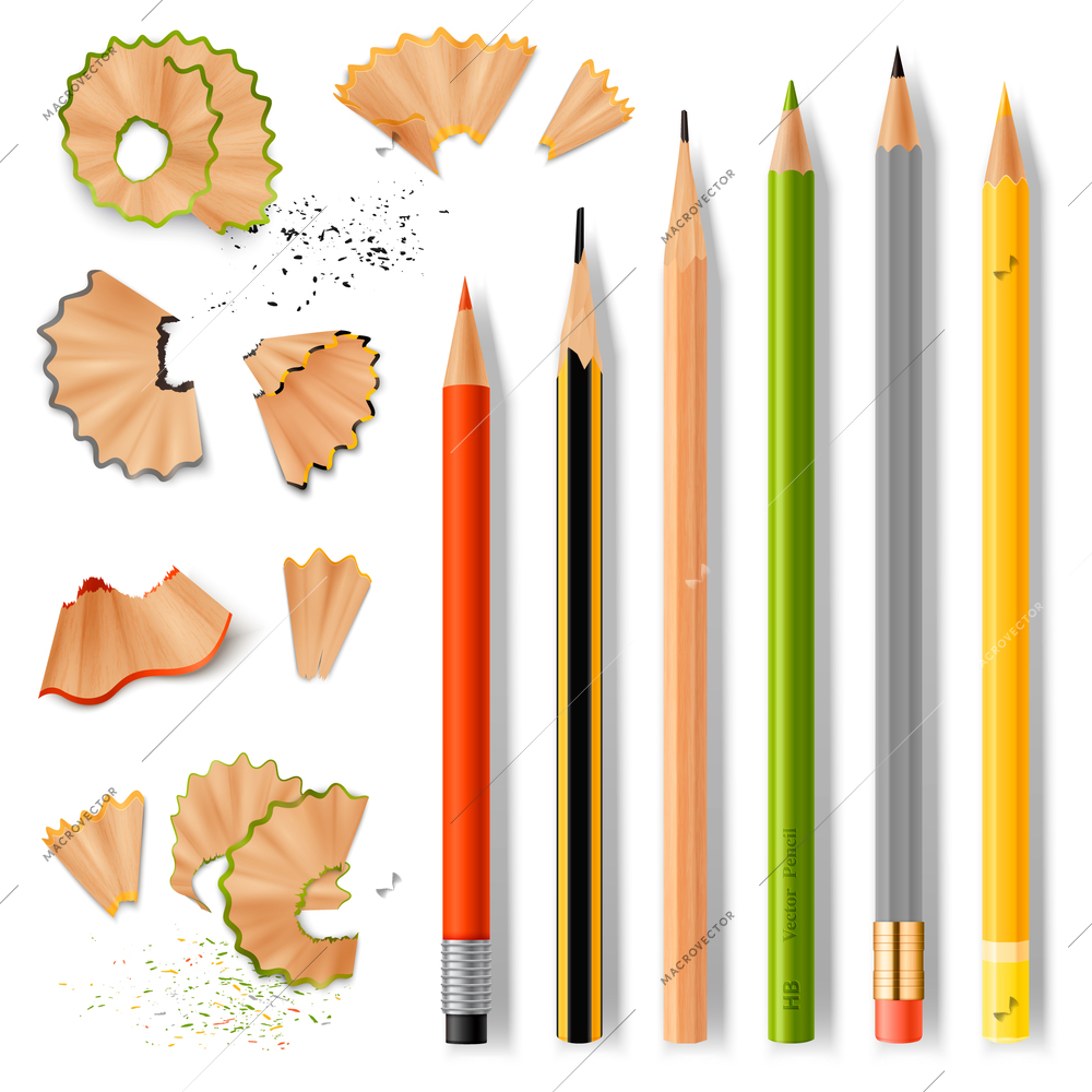 Sharpened wooden pencil with rubber eraser of various size and shavings realistic set isolated on white background vector illustration