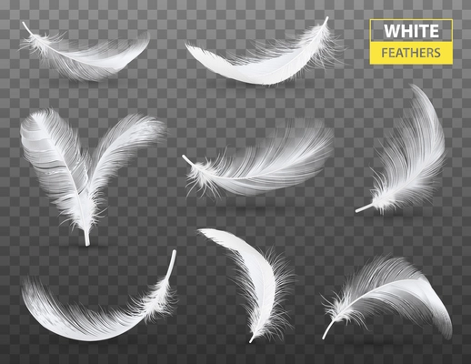 Set of isolated falling white fluffy twirled feathers on transparent background in realistic style vector illustration