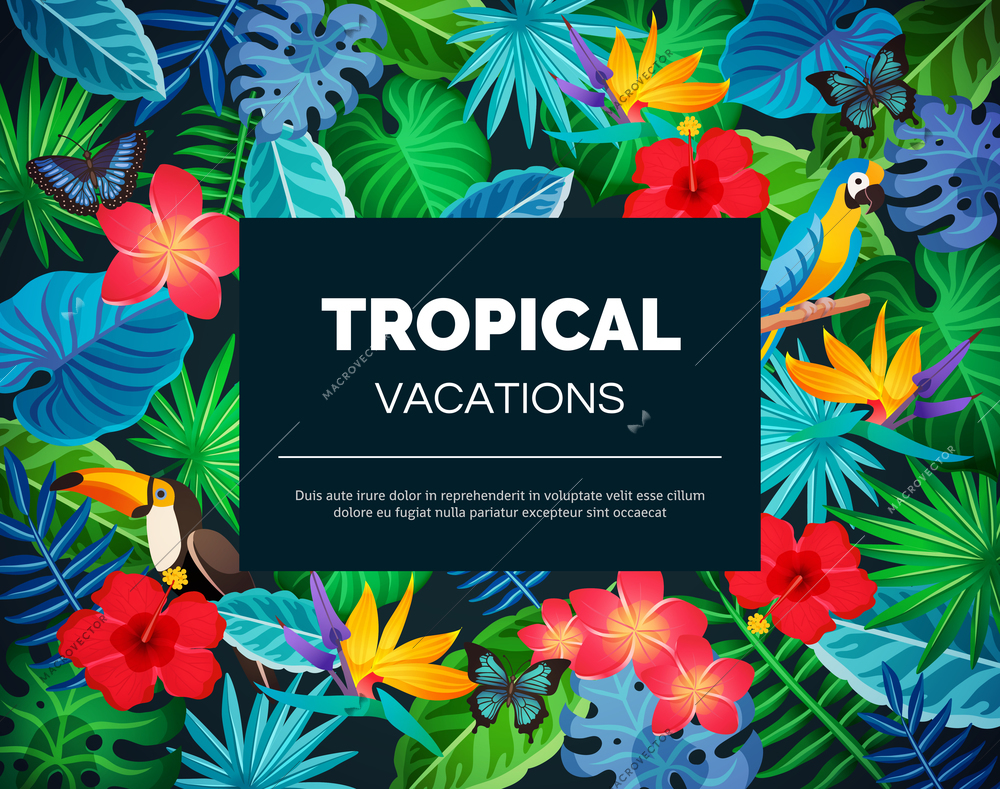 Tropical vacations background with colorful exotic blooming flowers butterflies toucans and black banner in middle flat vector illustration