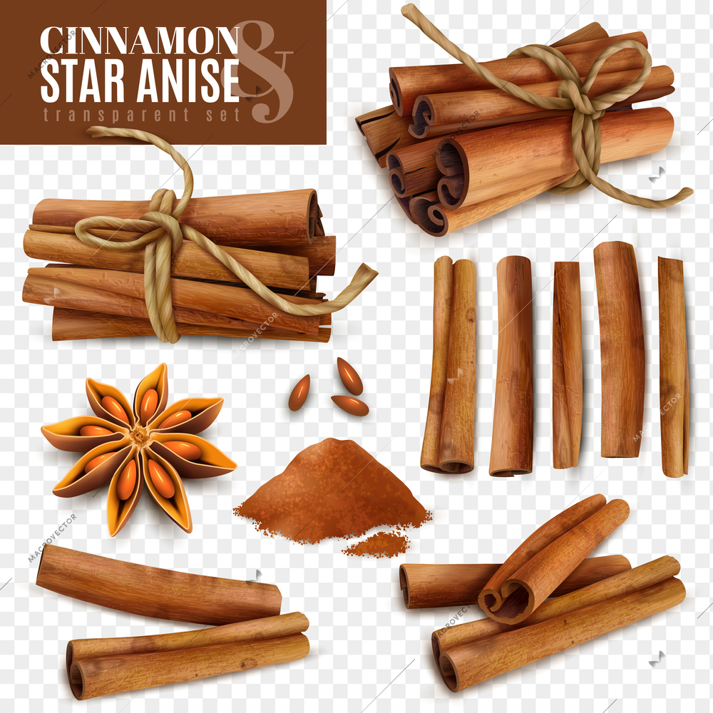 Set of cinnamon sticks with powder and star anise isolated on transparent background vector illustration