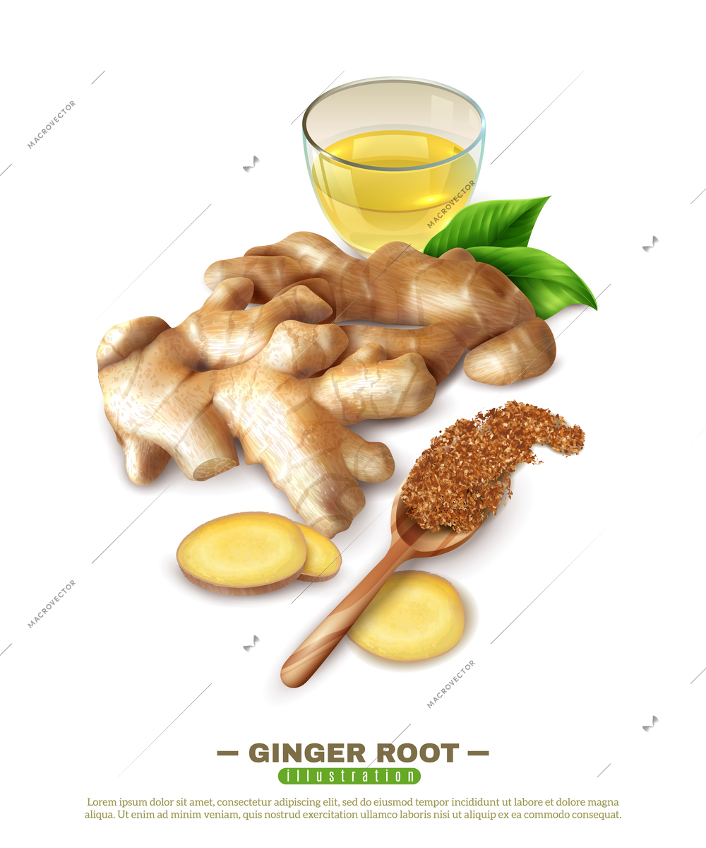 Fresh ginger root, cup of drink, green leaves, wooden spoon with powder, 3D composition vector illustration