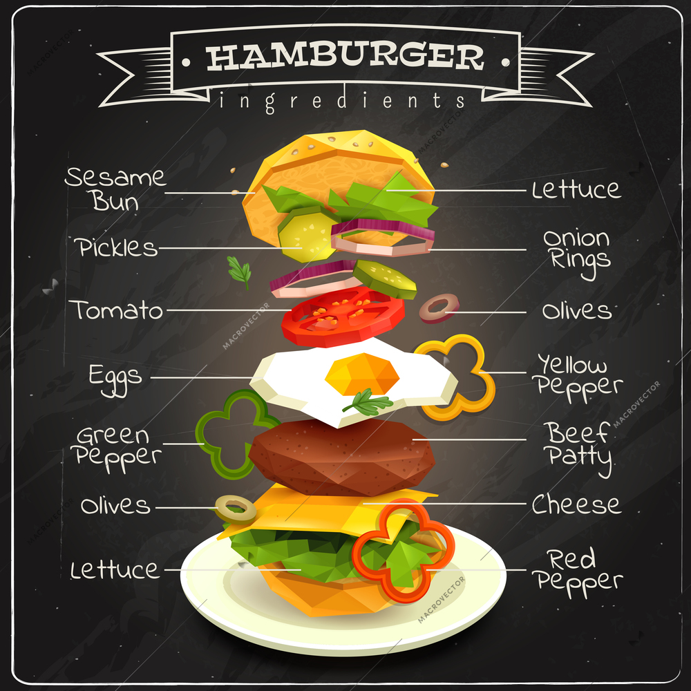 Hamburger ingredients including sesame bun, vegetables, eggs, beef patty, lettuce, infographics on chalk board vector illustration