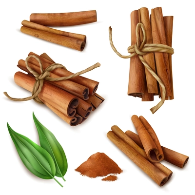 Set of realistic cinnamon sticks with spicy powder, green leaves isolated on white background vector illustration
