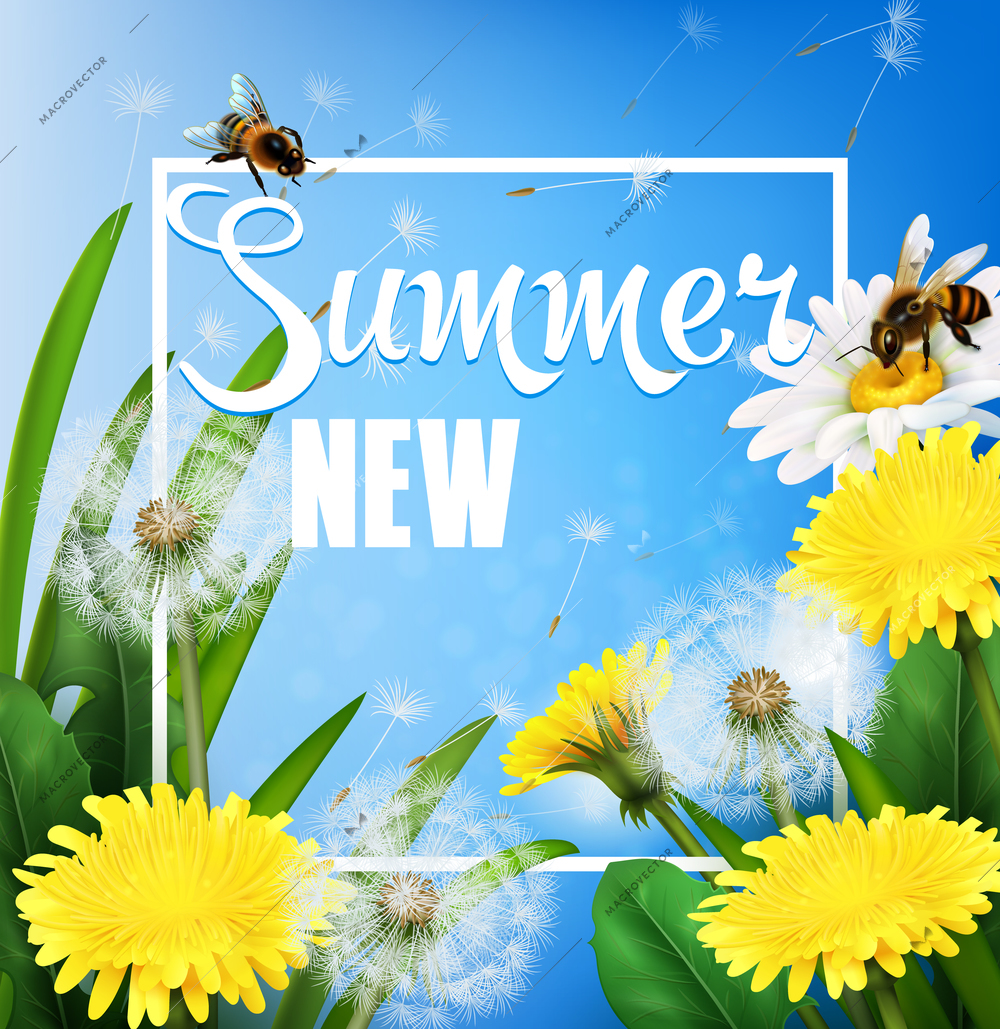 Realistic summer frame with bright meadow dandelion flowers and fluff on blue background vector illustration