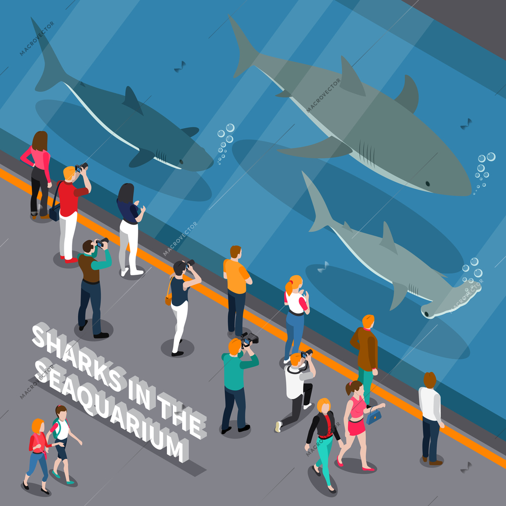 Seaquarium composition with sharks aquarium and visitors symbols isometric vector illustration