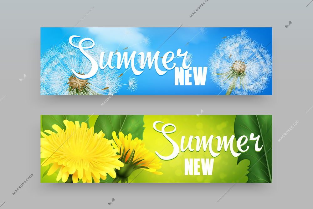 Realistic horizontal banners in blue and green color with dandelion flowers and fluff isolated on grey background vector illustration