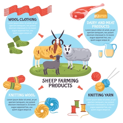 Sheep breeding farm products flat infographic poster with dairy and meat products wool yarn clothing vector illustration