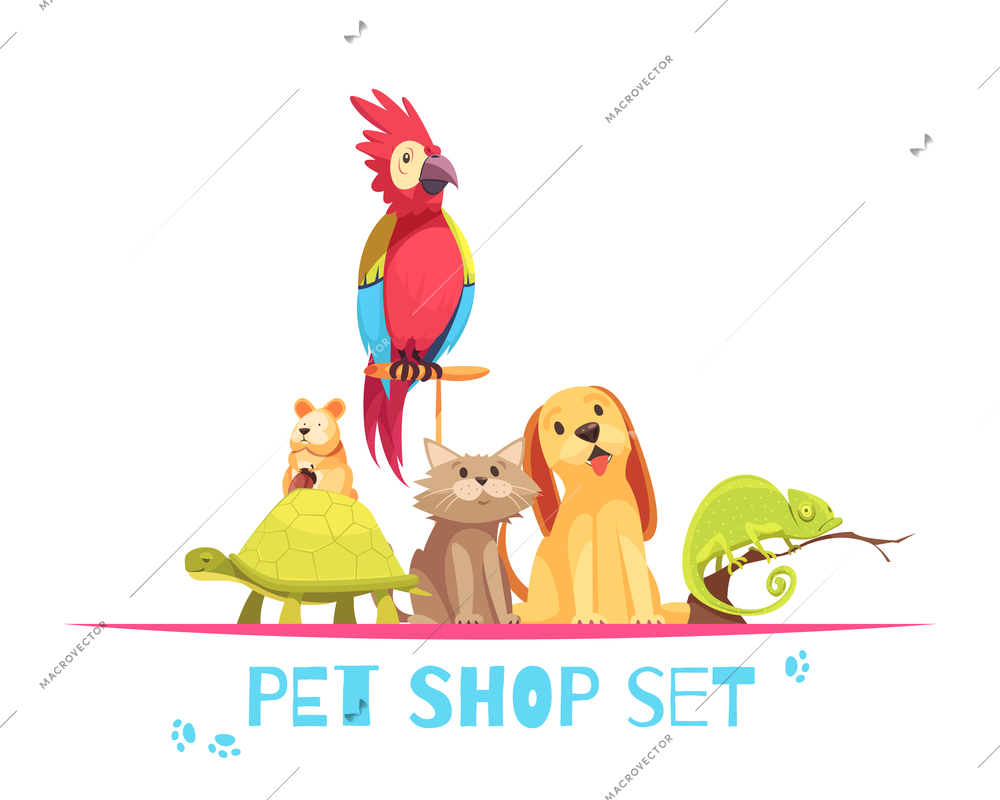 Pet shop composition with domestic animals parrot, hamster, chameleon, dog and cat on white background vector illustration