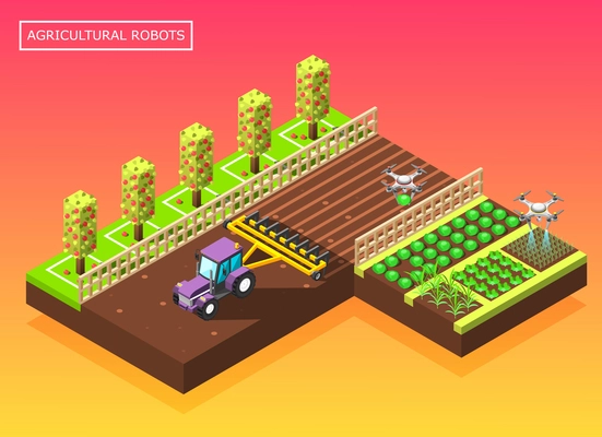 Agricultural robots isometric composition with tractor plowing field and helicopter watering vegetable beds vector illustration