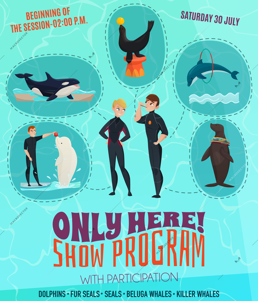 Dolphinarium show program poster with seals dolphins and whales symbols flat vector illustration