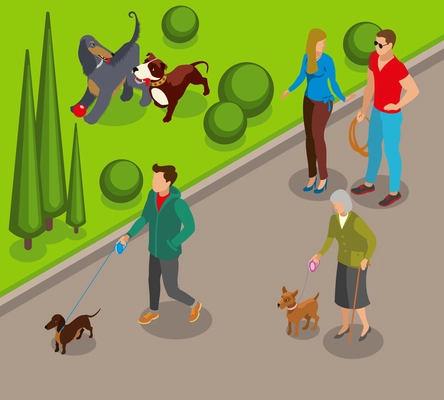 Dog walking in park, canine games on green lawn, community of pets owners isometric vector illustration