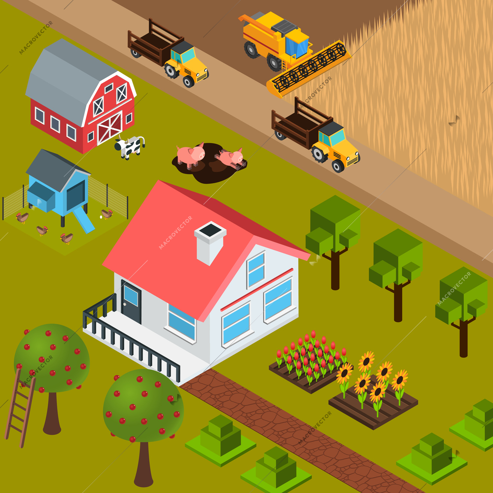 Colorful isometric background with farm house domestic animals trees machinery 3d vector illustration