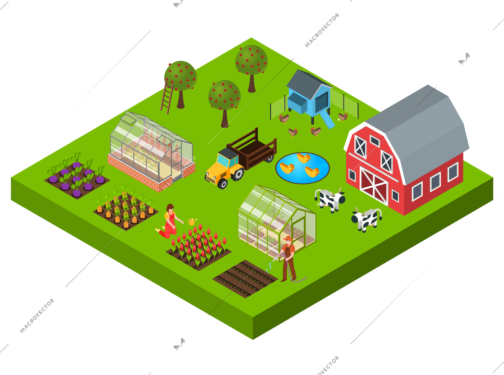 Isometric concept with big farm yard vegetable and flower beds cattle greenhouse barn 3d vector illustration