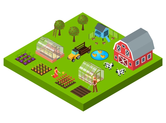 Isometric concept with big farm yard vegetable and flower beds cattle greenhouse barn 3d vector illustration