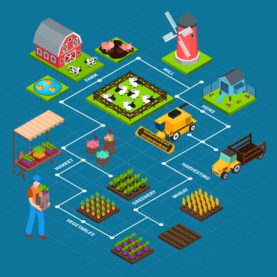 Isometric flowchart with farmer mill barn harvest machinery and domestic animals on blue background 3d vector illustration
