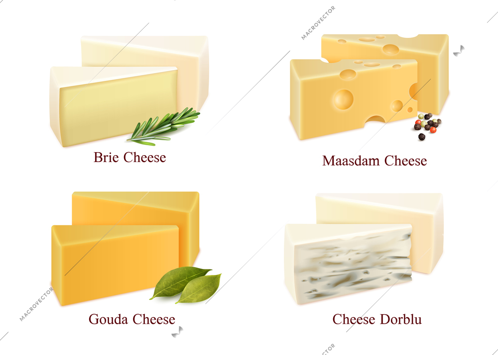 Set of cheese kinds in pieces brie, gouda, dorblu and maasdam with spices isolated vector illustration