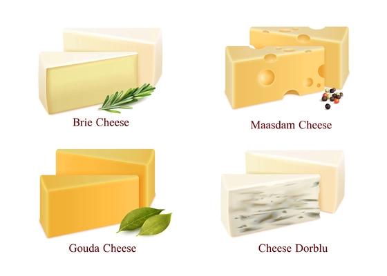 Set of cheese kinds in pieces brie, gouda, dorblu and maasdam with spices isolated vector illustration