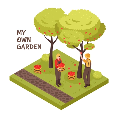 Gardening isometric concept with trees fruit and lawn symbols vector illustration