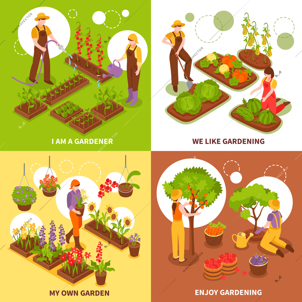 Gardening isometric concept icons set with vegetables and fruit symbols isolated vector illustration