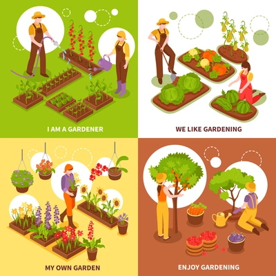 Gardening isometric concept icons set with vegetables and fruit symbols isolated vector illustration