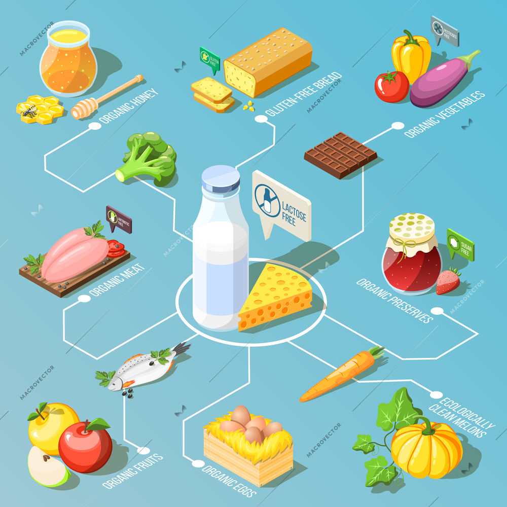 Organic food including, ecologically clean fruits and vegetables, dairy products isometric flowchart on turquoise background vector illustration