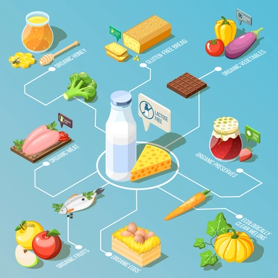 Organic food including, ecologically clean fruits and vegetables, dairy products isometric flowchart on turquoise background vector illustration