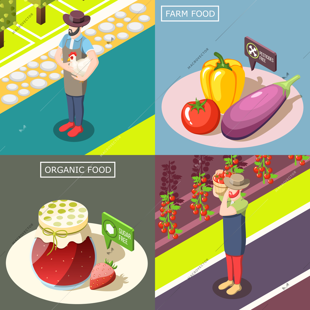 Organic food, vegetable harvest without pesticides, preserves from berries without sugar, isometric design concept isolated vector illustration