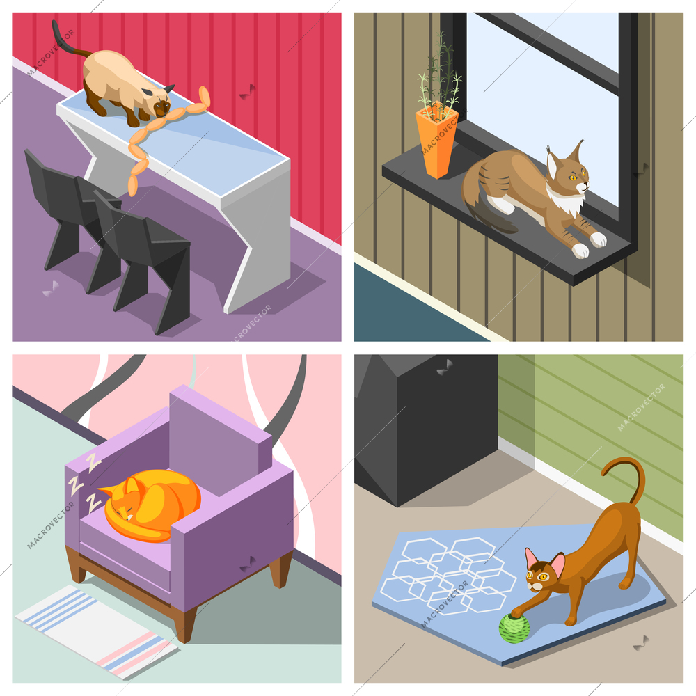 Purebred cats in home interior during sleep, rest, playing and eating isometric design concept isolated vector illustration
