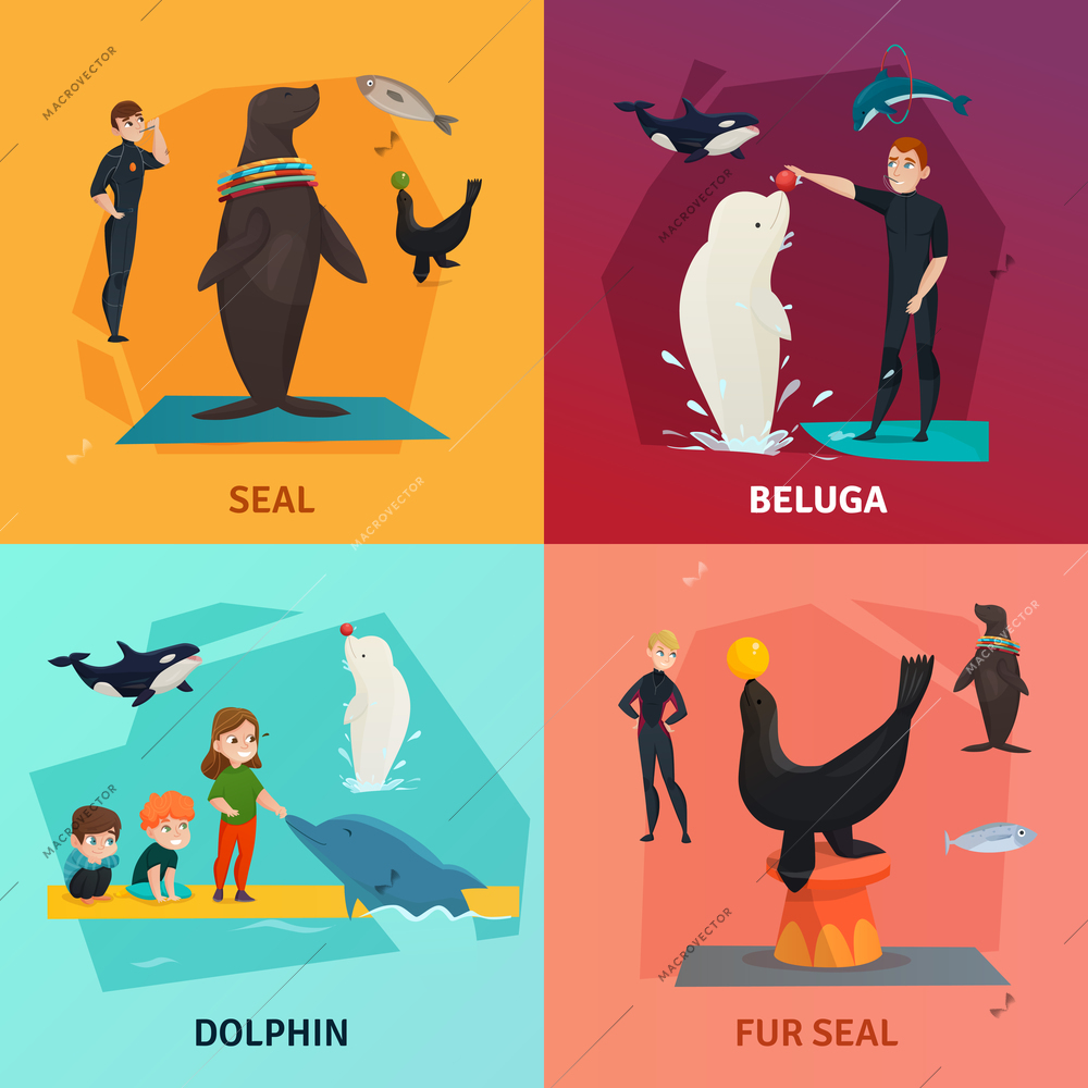 Dolphinarium show concept icons set with seal and dolphin symbols flat isolated vector illustration