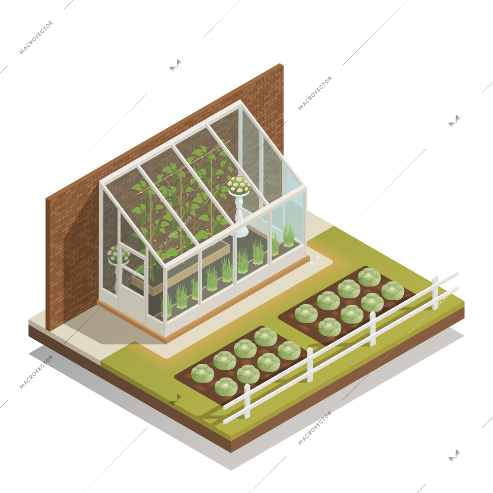 Traditional lean-to glass greenhouse with young plants  isometric composition of greenery and outdoor gardening vector illustration