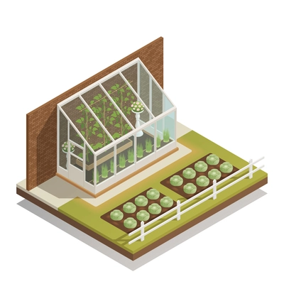 Traditional lean-to glass greenhouse with young plants  isometric composition of greenery and outdoor gardening vector illustration