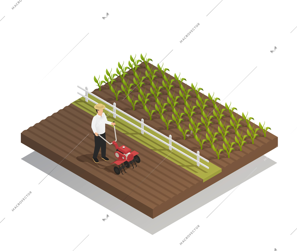 Farming machinery agricultural equipment isometric composition with hand push rotary garden cultivator harrowing and growing crops vector illustration