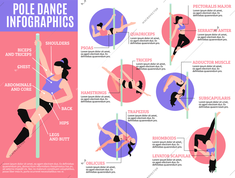 Pole dance infographics with girls and information about muscular load for various exercises vector illustration