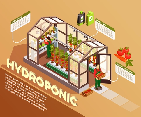 Hydroponic isometric composition with greenhouse image and description of construction elements and plant care methods vector illustration