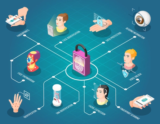 Biometric ID isometric flowchart with face thermogram fingerprint and voice unlock dna and face identification vector illustration