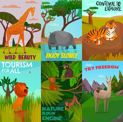 Set of cartoon colored cards with wild exotic animals  lives in jungle and tropics vector illustration