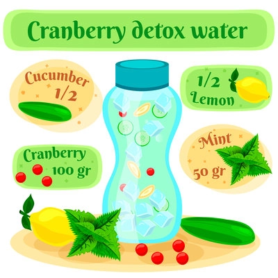 Cranberry detox water recipe flat composition poster with infuse bottle and cucumber lemon mint ingredients vector illustration