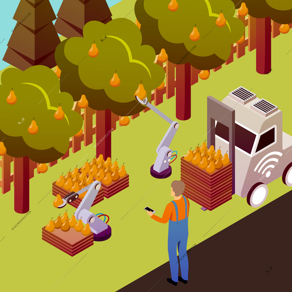 Agricultural robots isometric composition with outdoor scenery and pear trees with electronically controlled manipulators collecting fruits vector illustration