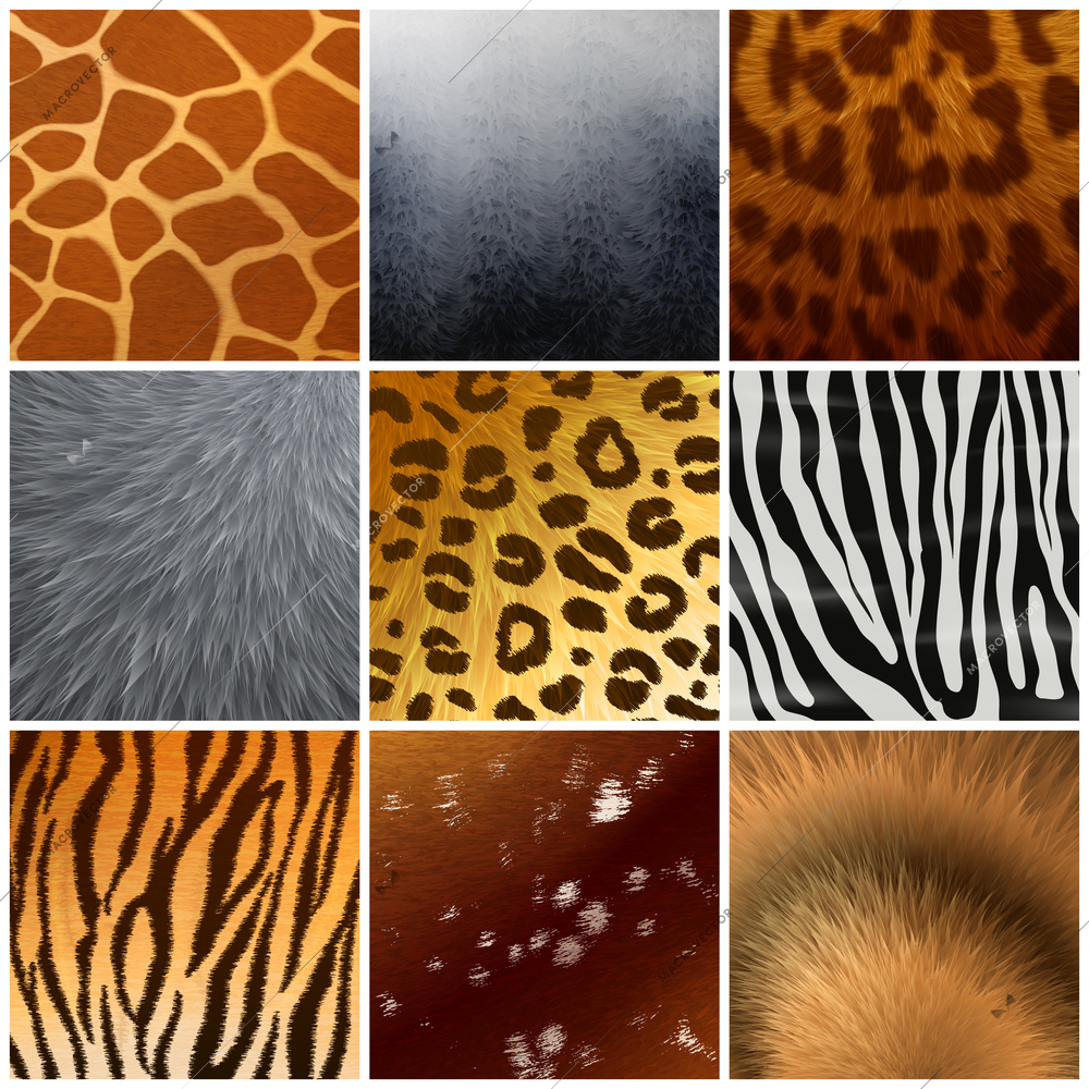 Real and faux exotic fur skin hide texture color pattern 9 realistic samples collection isolated vector illustration