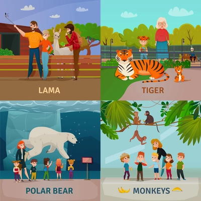 Zoo visitors 4 icons square concept with kids watching polar bear monkeys and tiger isolated vector illustration