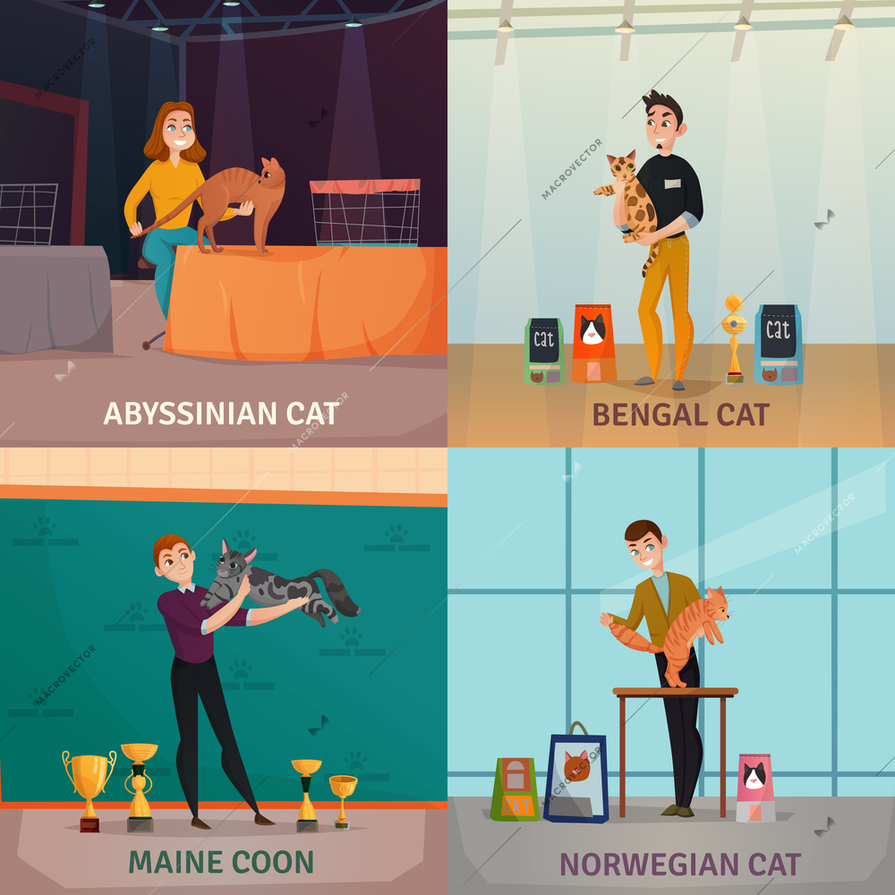 Cat show 4 cartoon icons concept with owners presenting bengal norwegian and abyssinian breeds isolated vector illustration