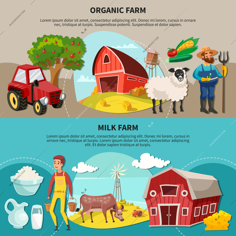 Two horizontal farm cartoon composition set with organic and milk farm headlines vector illustration