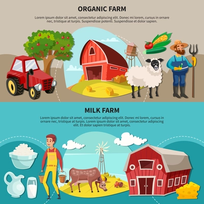 Two horizontal farm cartoon composition set with organic and milk farm headlines vector illustration