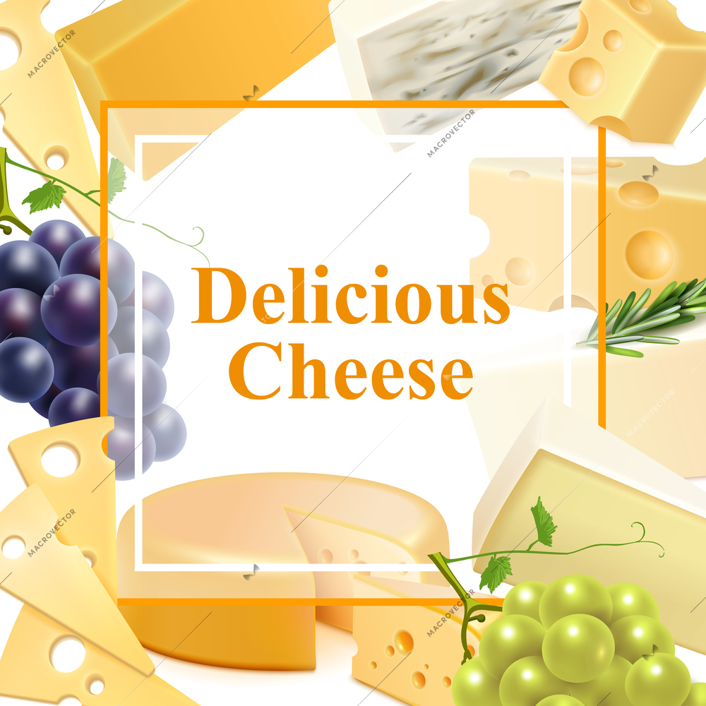 Realistic cheese of various kind with branches of grape, green leaves, frame background vector illustration