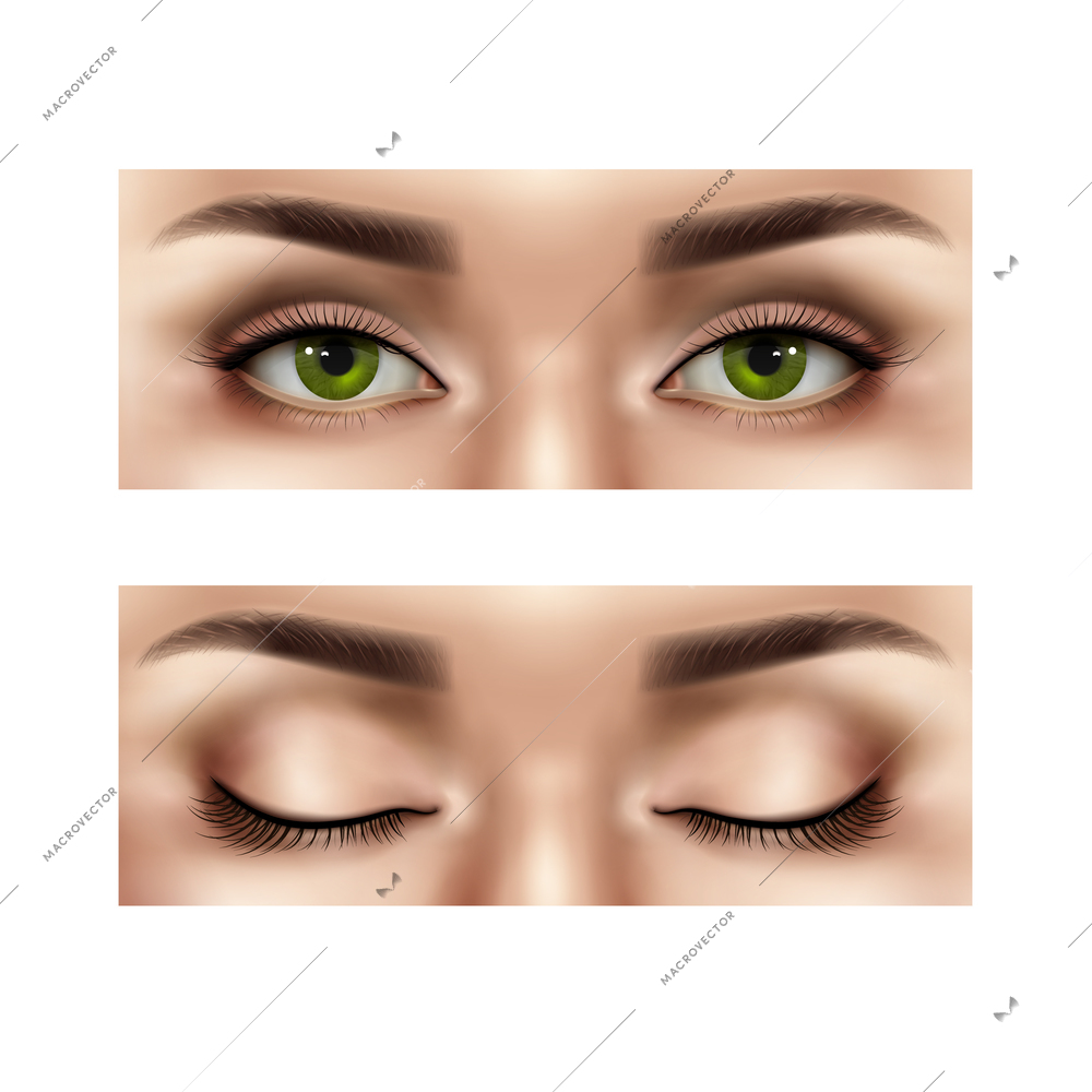 Set of realistic part of female human face with open and closed eyes, isolated vector illustration