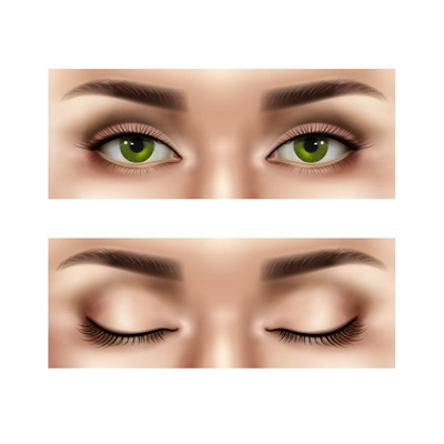 Set of realistic part of female human face with open and closed eyes, isolated vector illustration